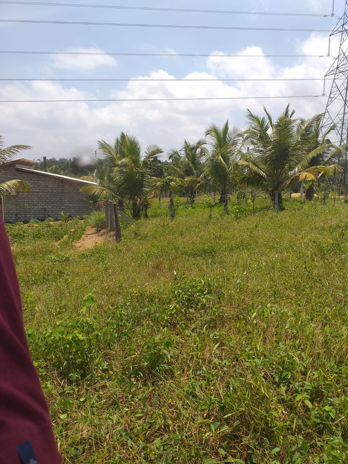 Residential Land for Sale in Henegama ads-image-1