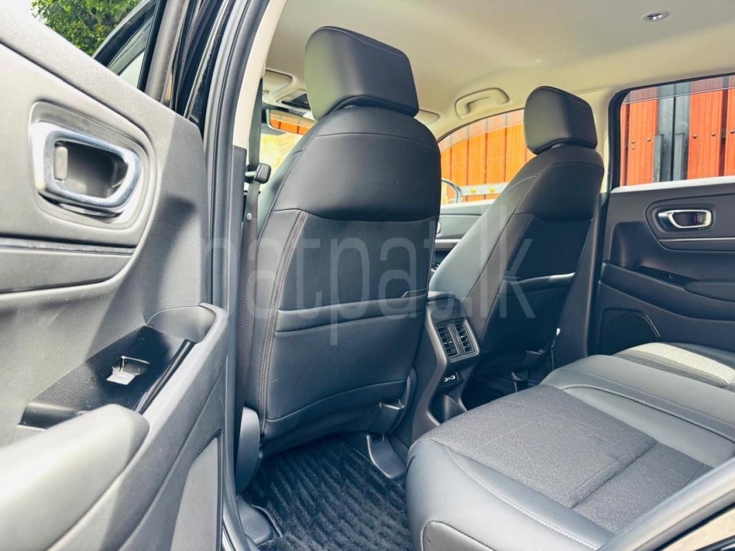 Advertisement image 6