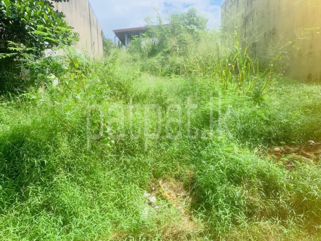 Advertisement image 1