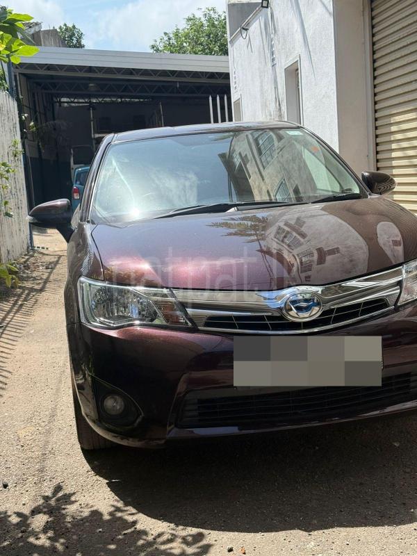 Advertisement image 1