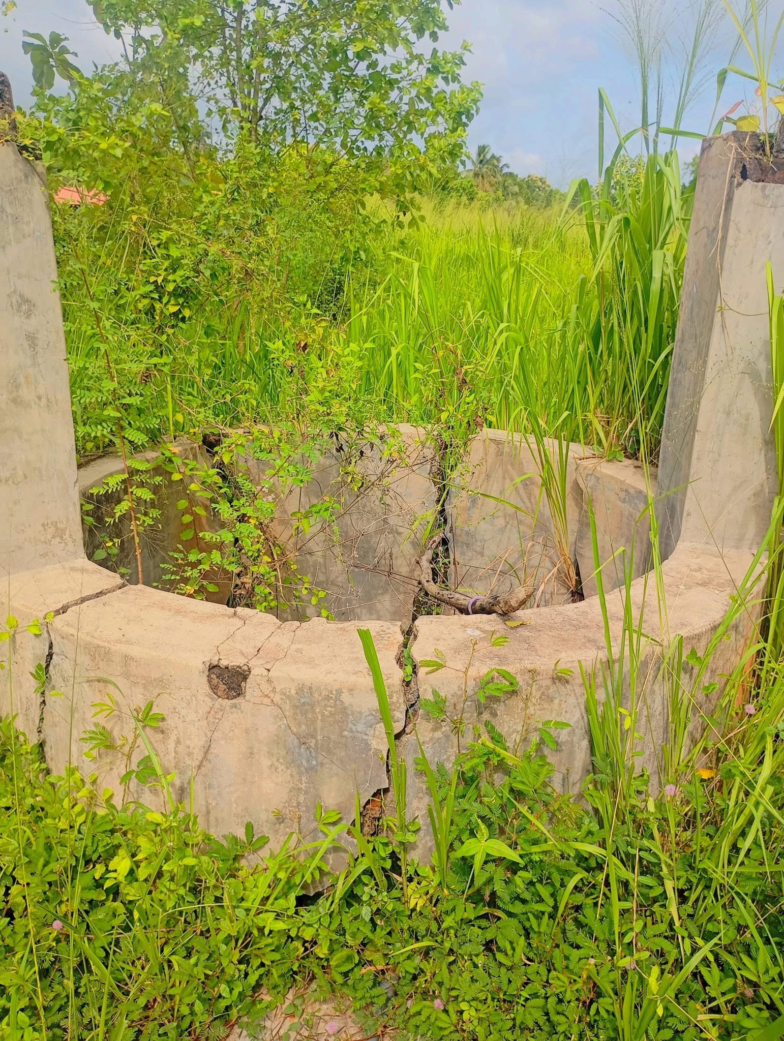 Commercial Land for Sale in Maho