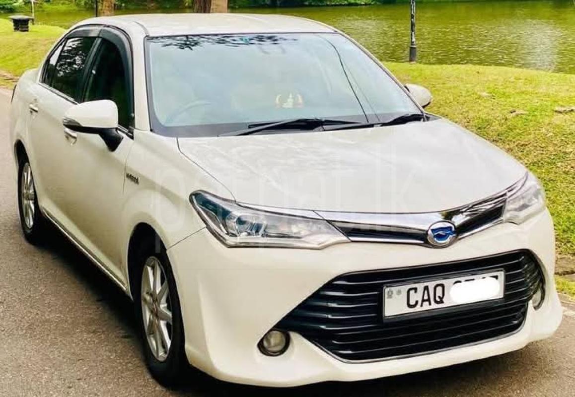 Advertisement image 3