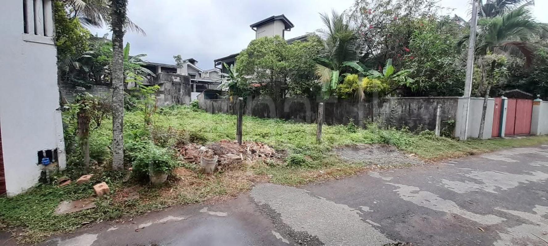Residential Land for Sale in Kotte