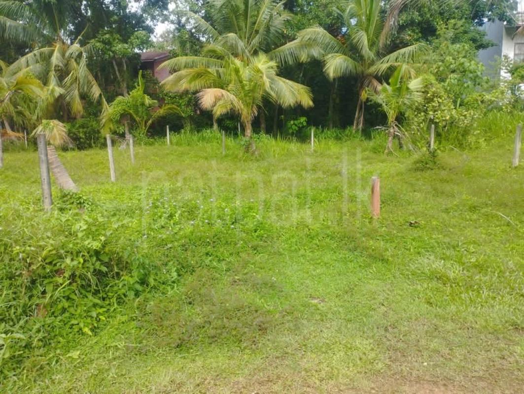 Residential Land for Sale in Malabe