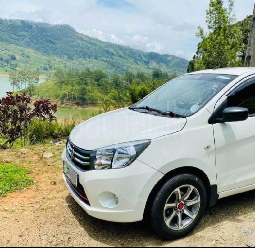 Advertisement image 3