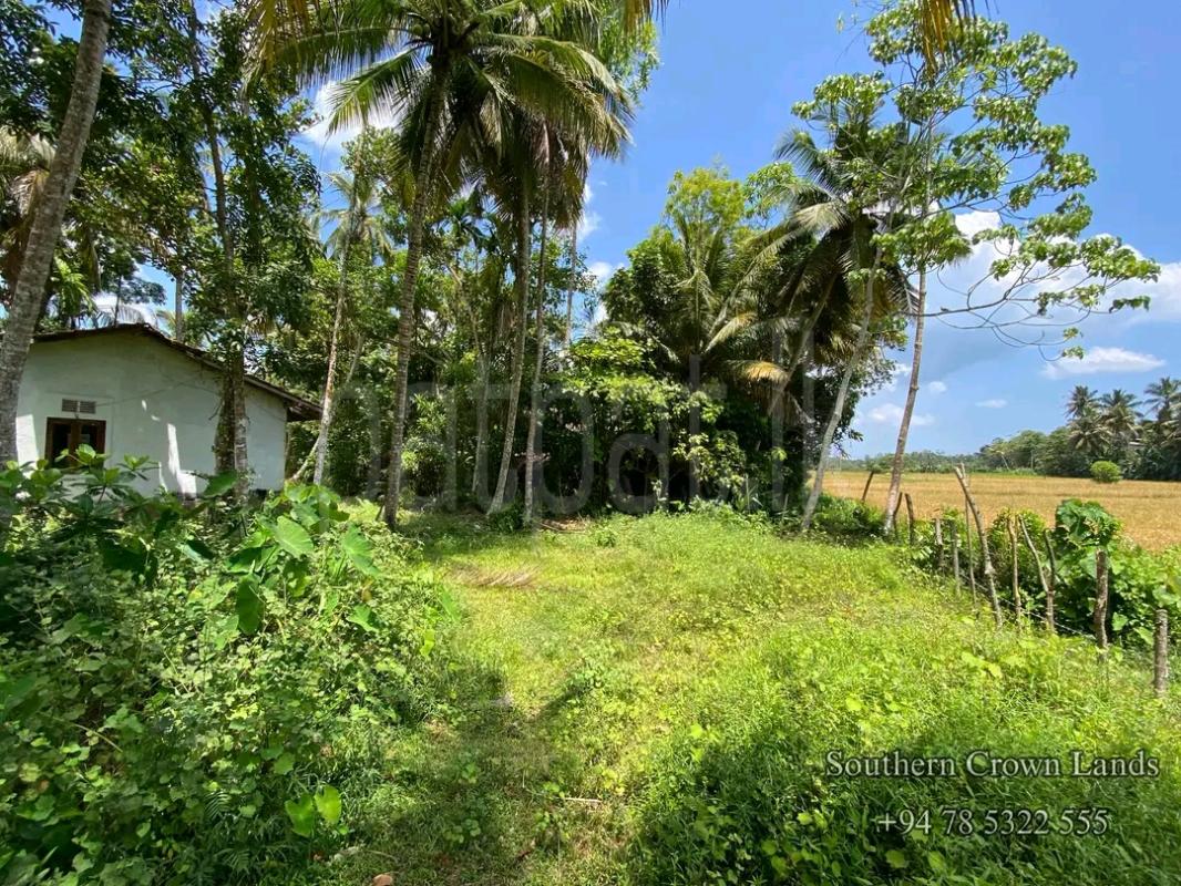 Residential Land for Sale in Yakkala ads-image-1