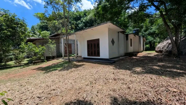 Commercial Land for Sale in Kalagedihena ads-image-1