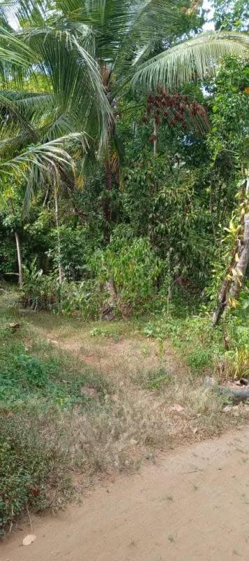 Residential Land for Sale in Katupota