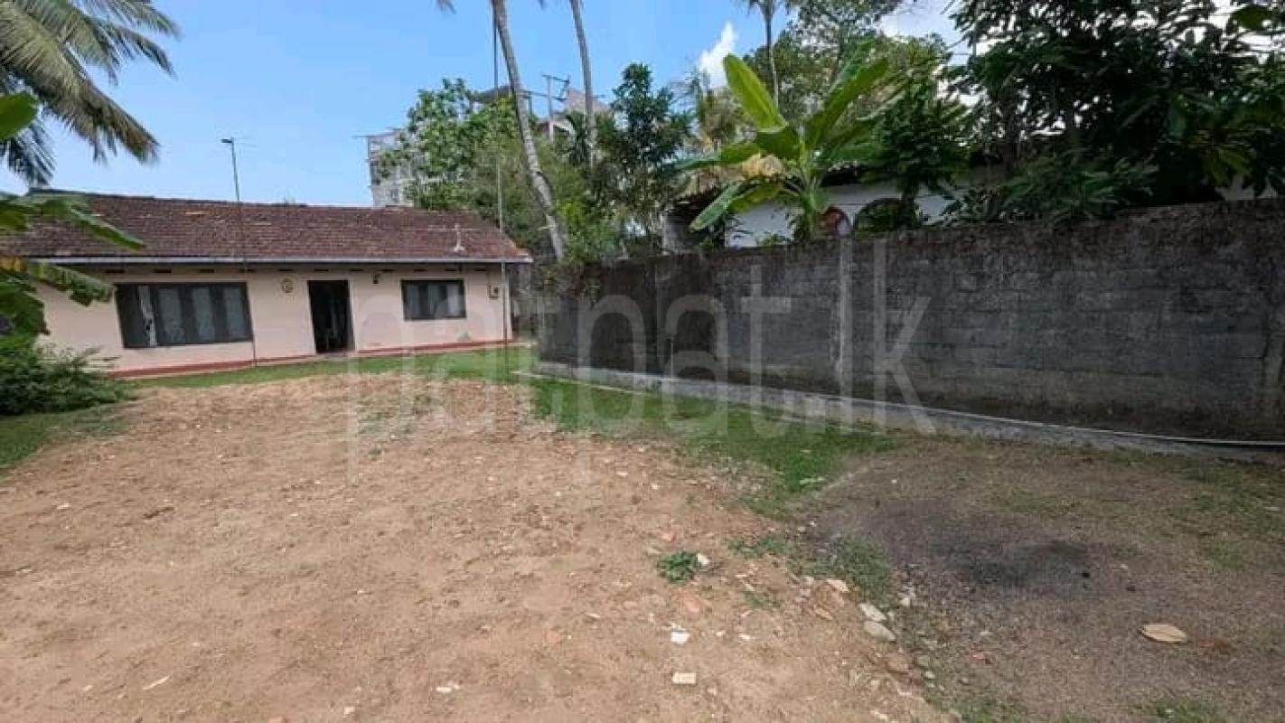 Commercial Land for Sale in Kelaniya ads-image-1