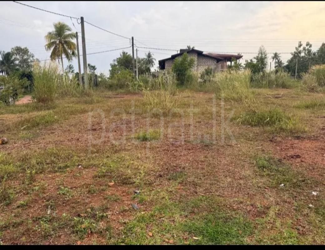 Residential Land for Sale in Kirindiwela