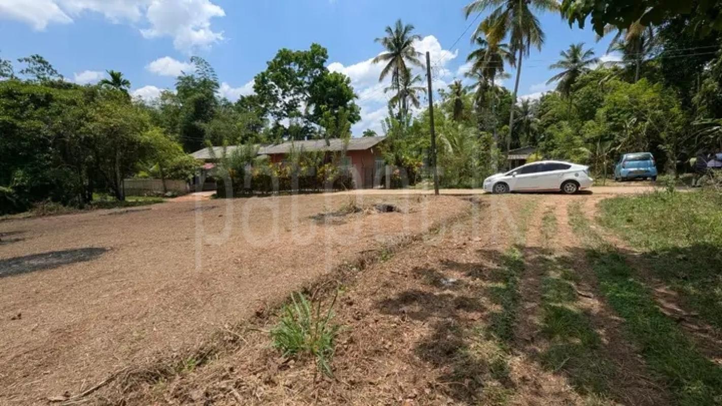 Commercial Land for Sale in Minuwangoda