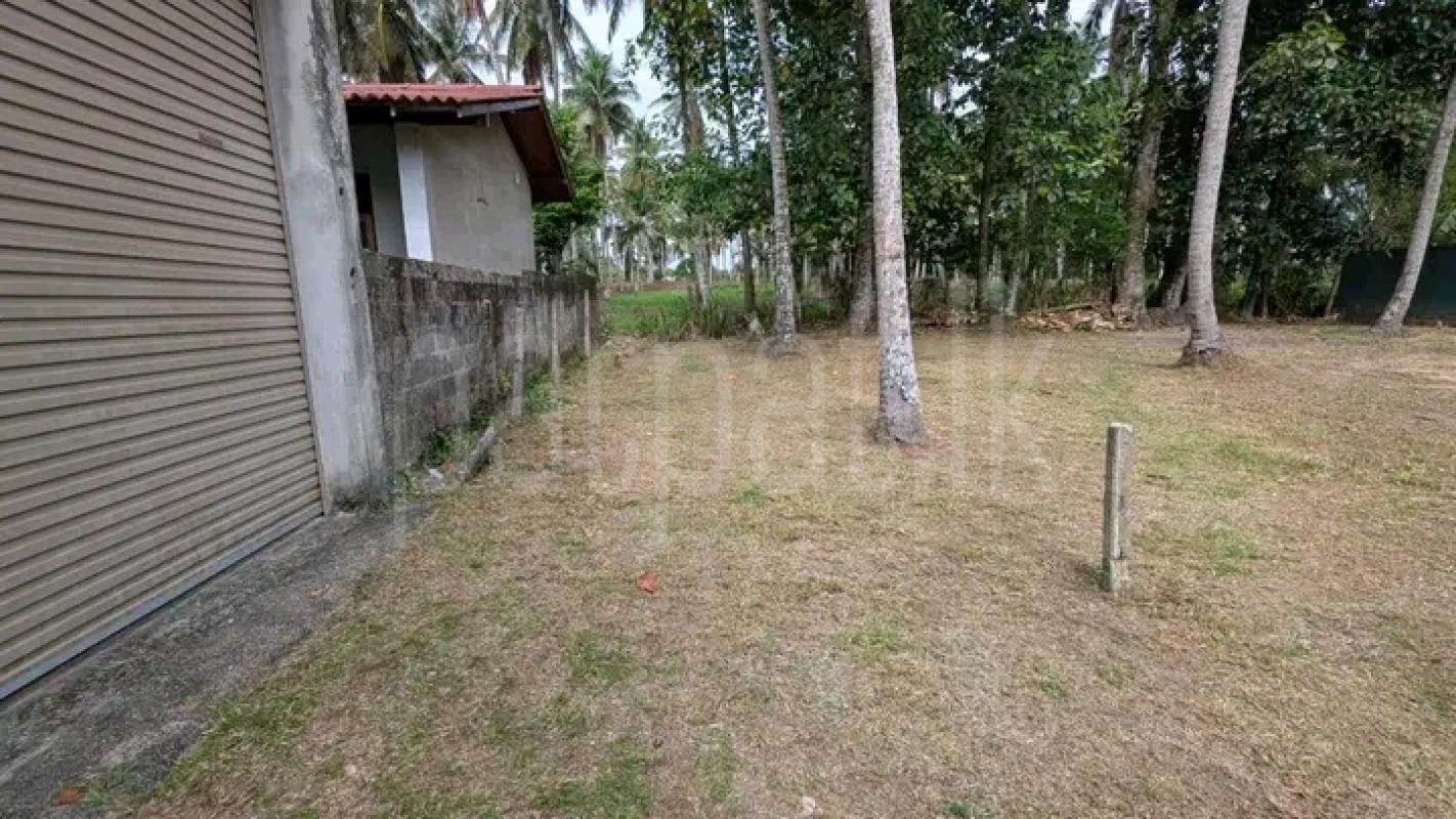 Commercial Land for Sale in Nittambuwa