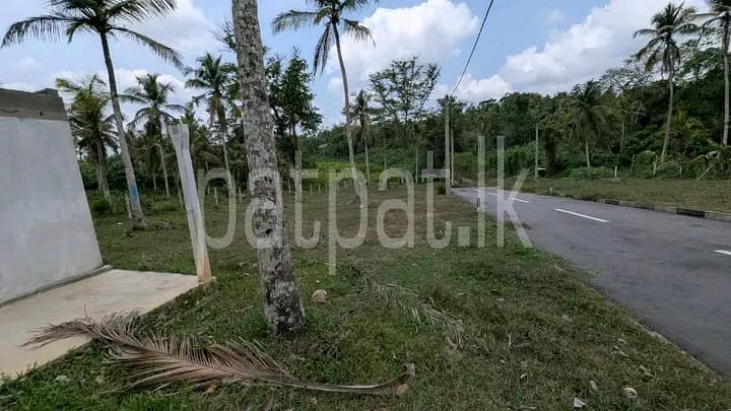 Commercial Land for Sale in Kalagedihena ads-image-1