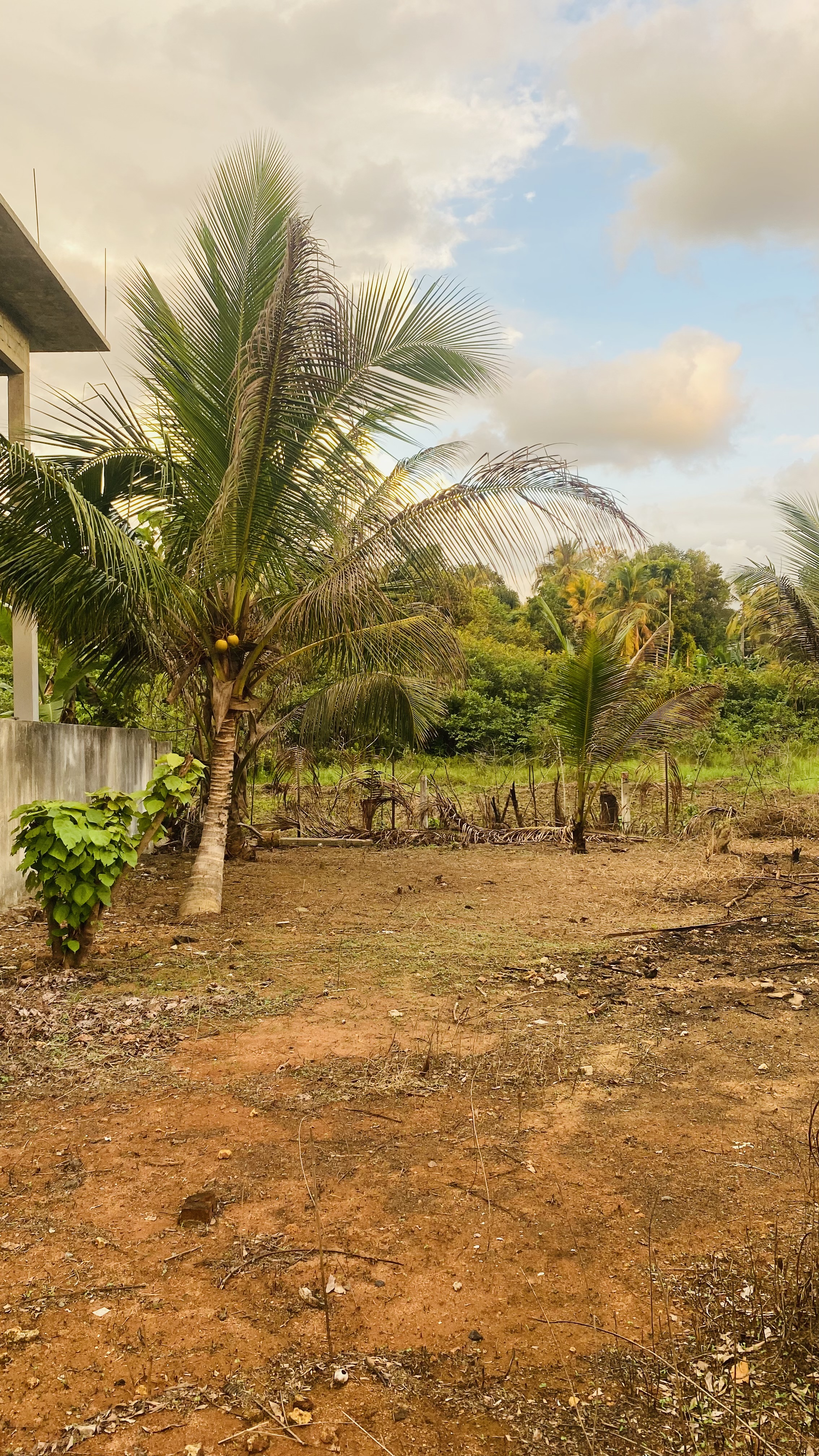 Residential Land for Sale in Wadduwa