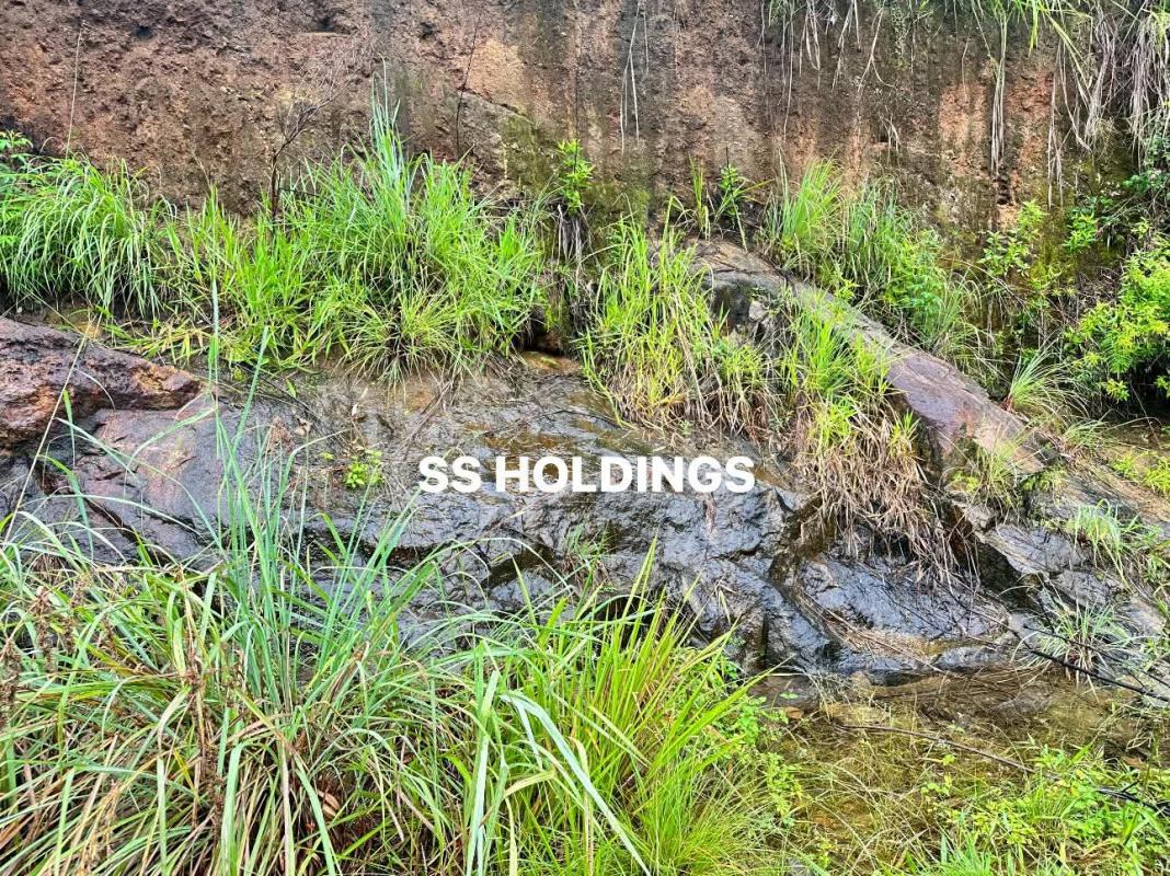 Commercial Land for Sale in Welimada
