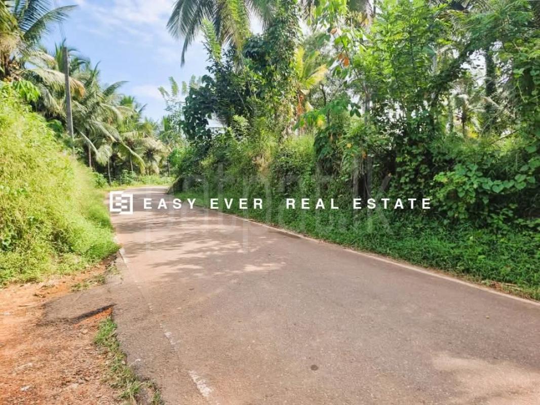 Residential Land for Sale in Nittambuwa