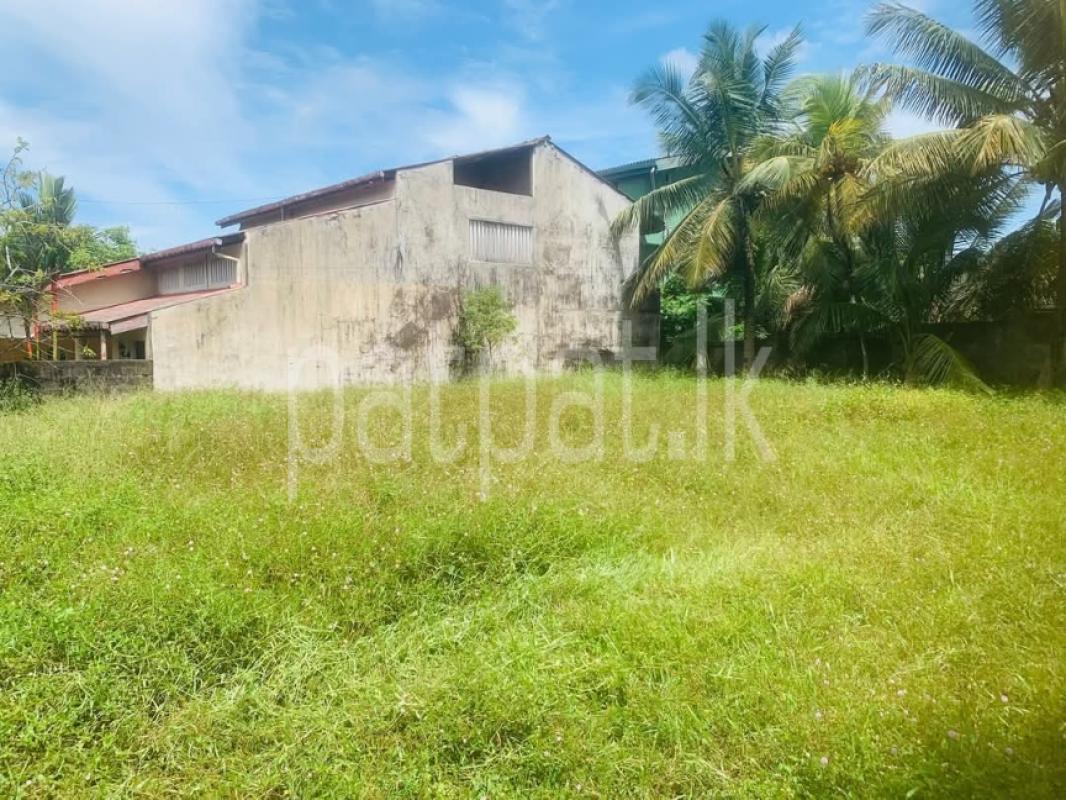 Advertisement image 1