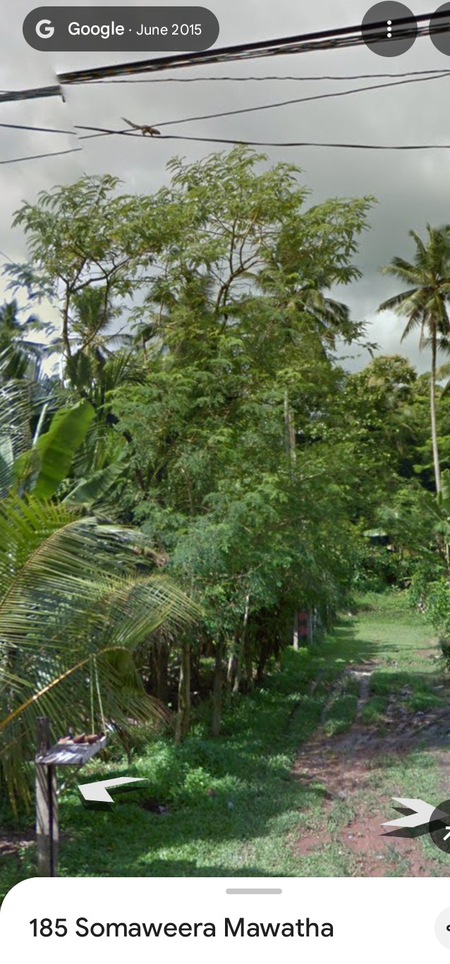 Residential Land for Sale in Gampaha