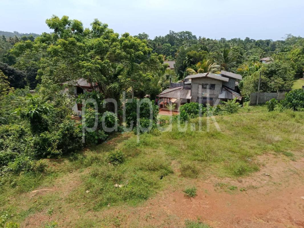 Residential Land for Sale in Gamagoda