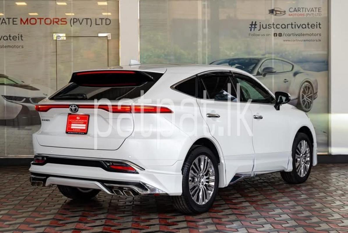 Advertisement image 4