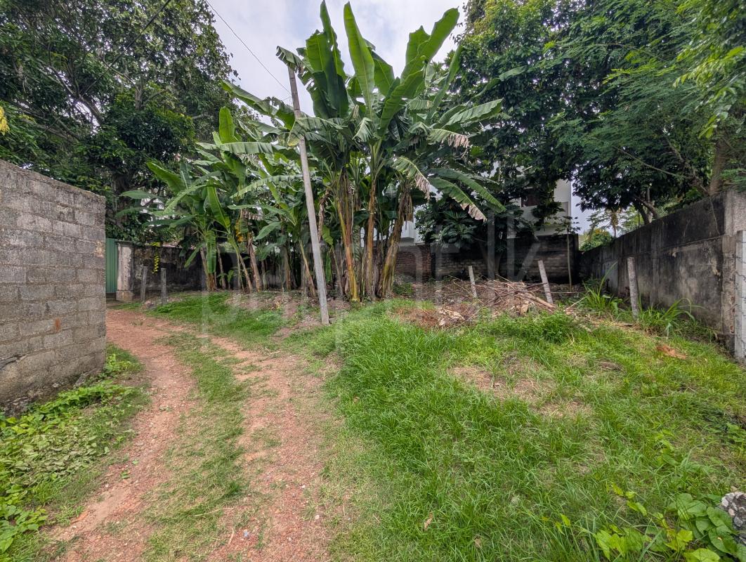 Residential Land for Sale in Mount Lavinia