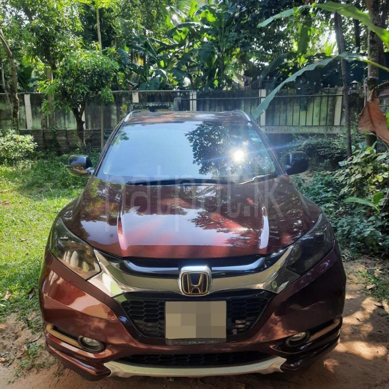 Advertisement image 1