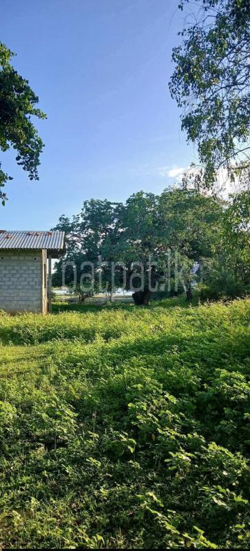 Residential Land for Sale in Kataragama