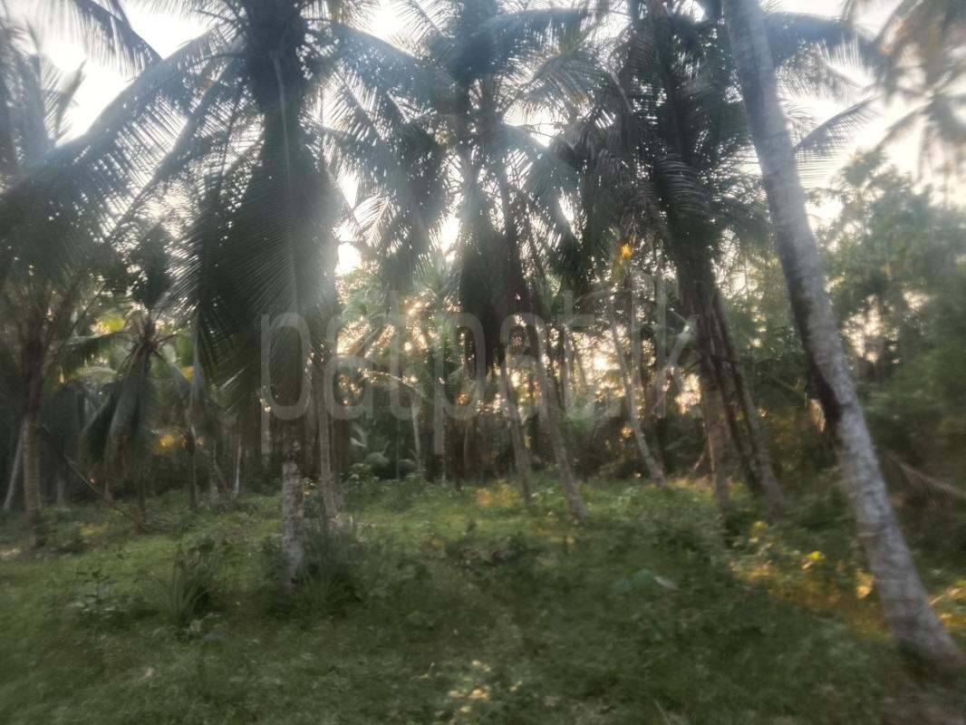 Commercial Land for Sale in Radawana