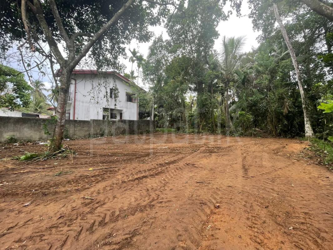 Residential Land for Sale in Homagama