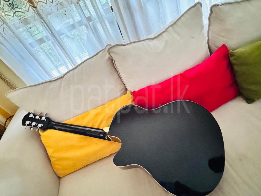 Robbin guitar