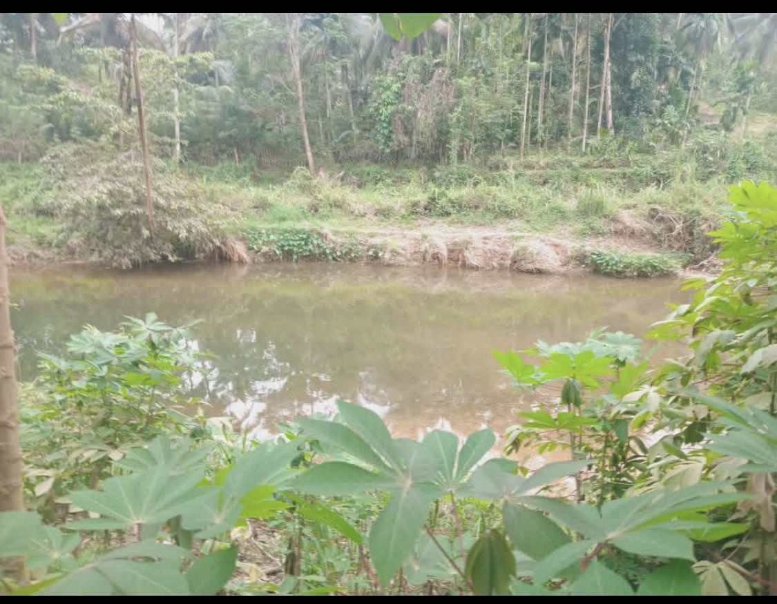 Agricultural Land for Sale in Dehiowita