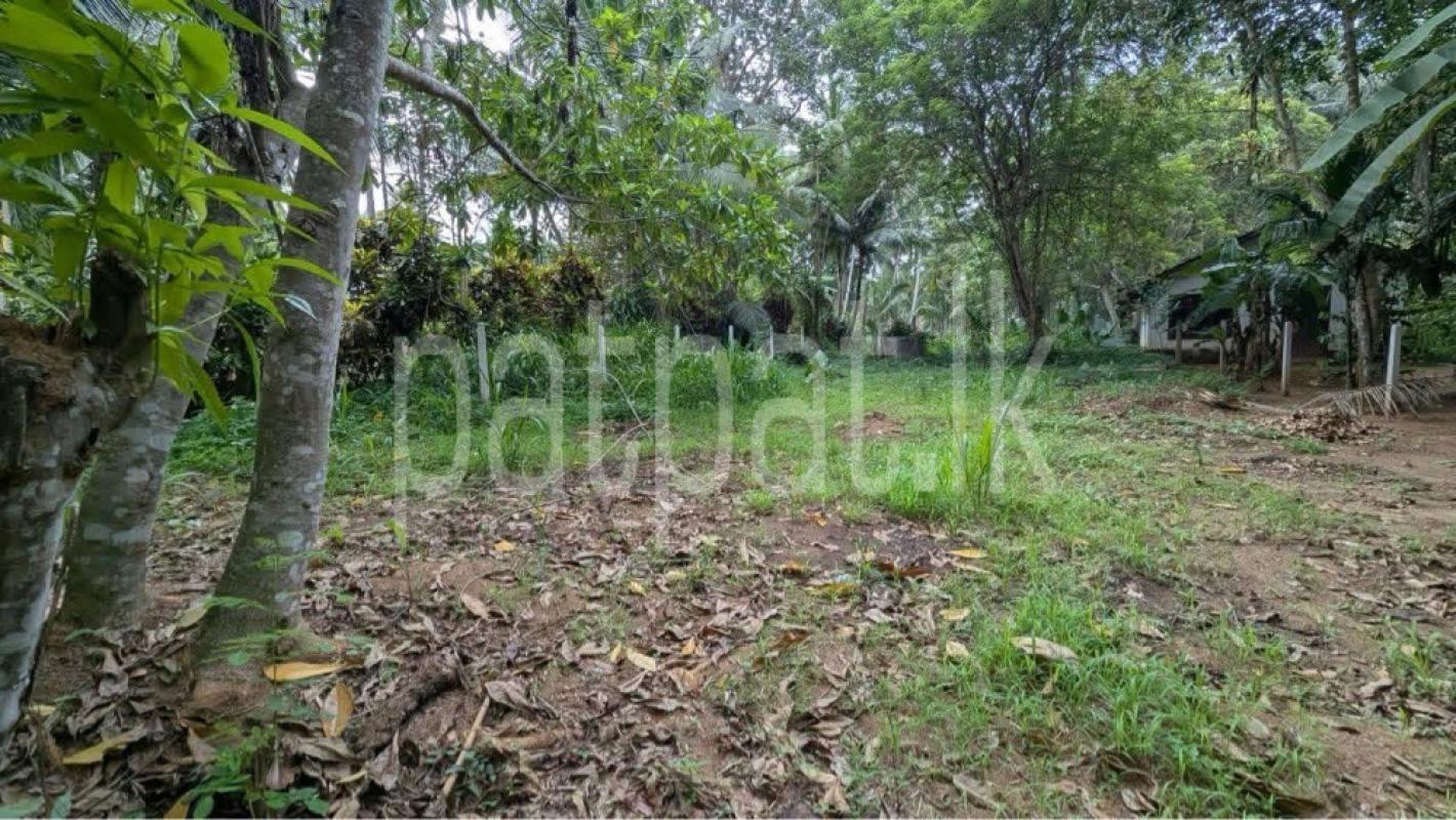 Residential Land for Sale in Veyangoda