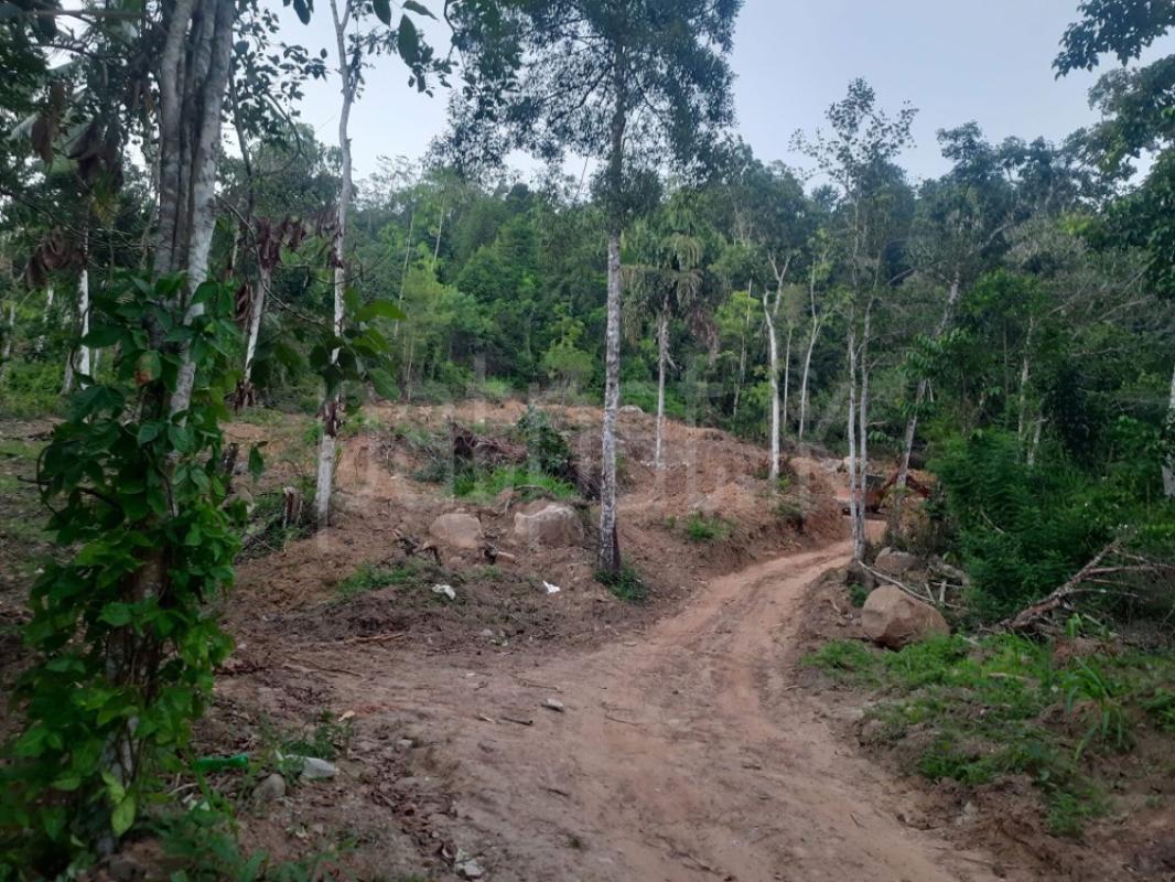 Residential Land for Sale in Galle ads-image-1