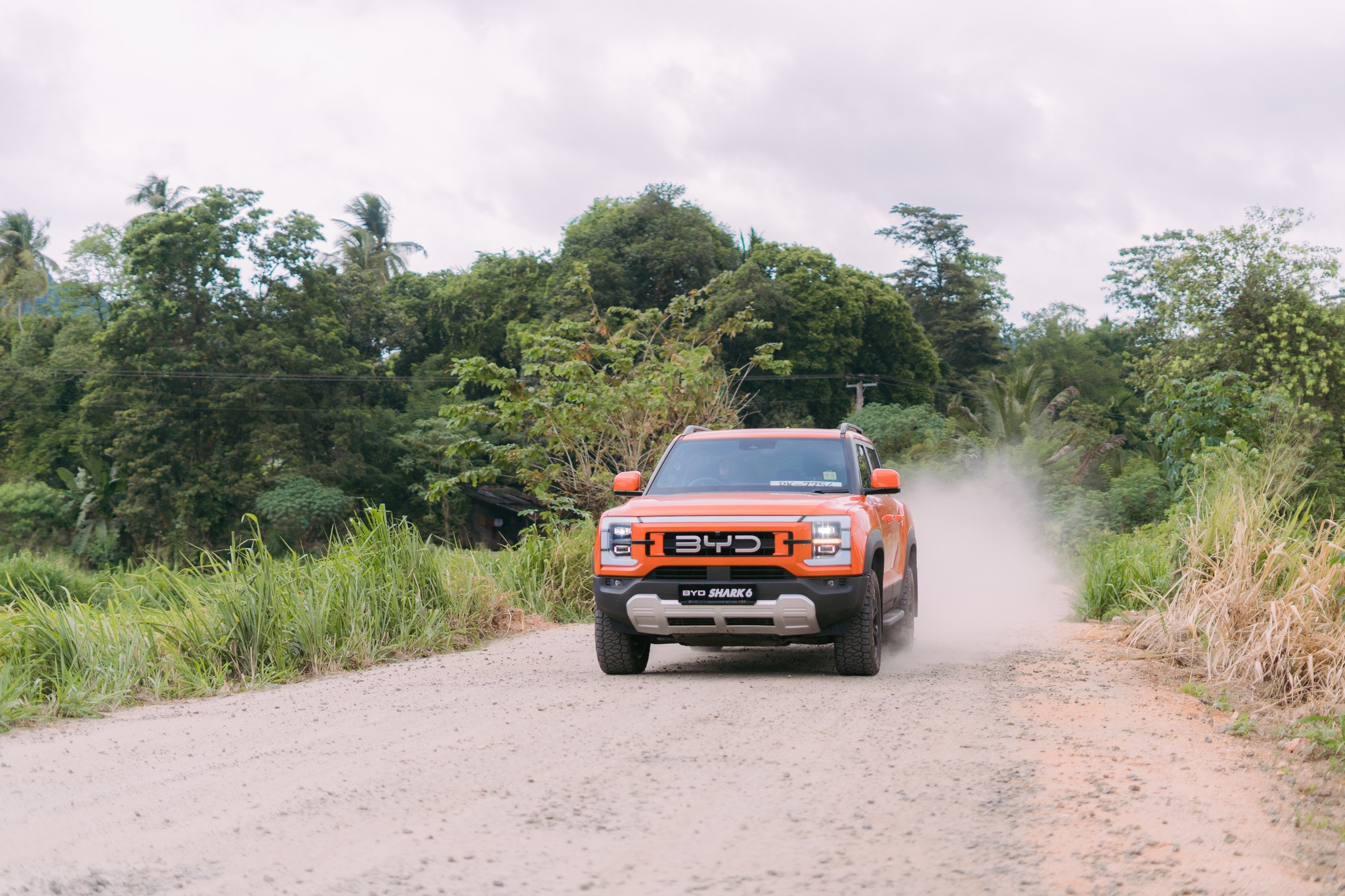 BYD Shark 6 2025 - Brand New Pick-up  sale in Sri Lanka - patpat.lk