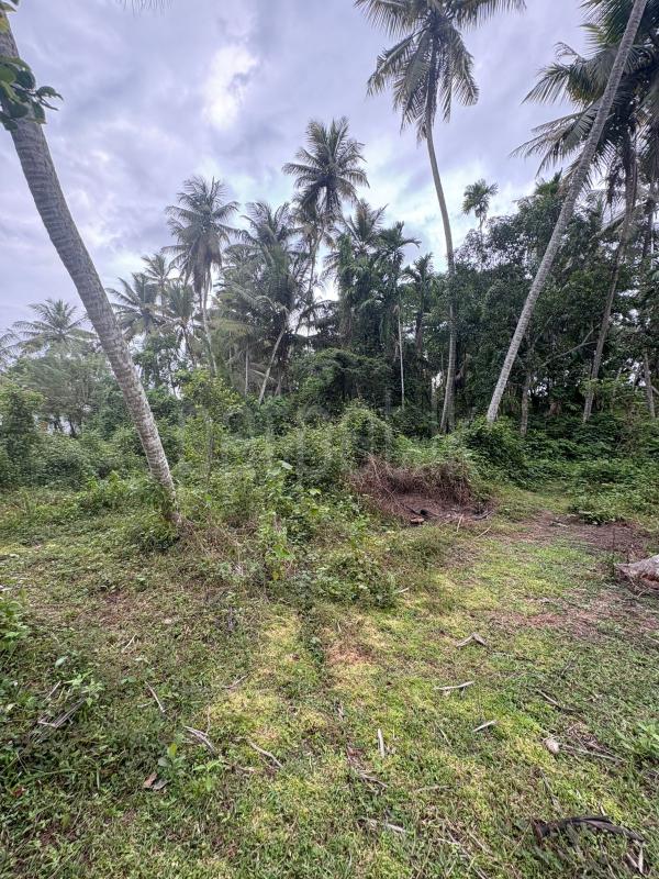 Agricultural Land for Sale in Kuliyapitiya ads-image-1