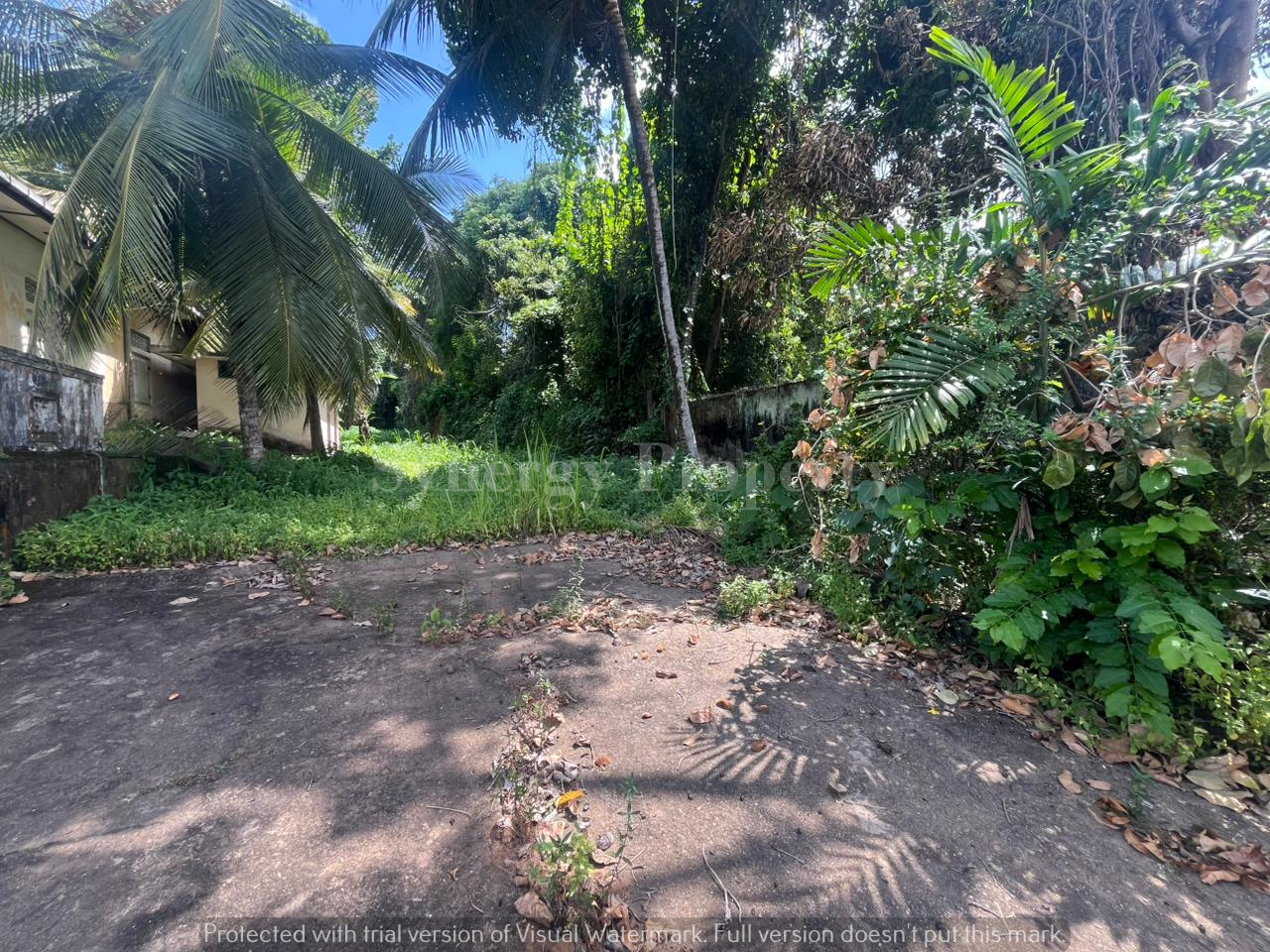 Advertisement image 5