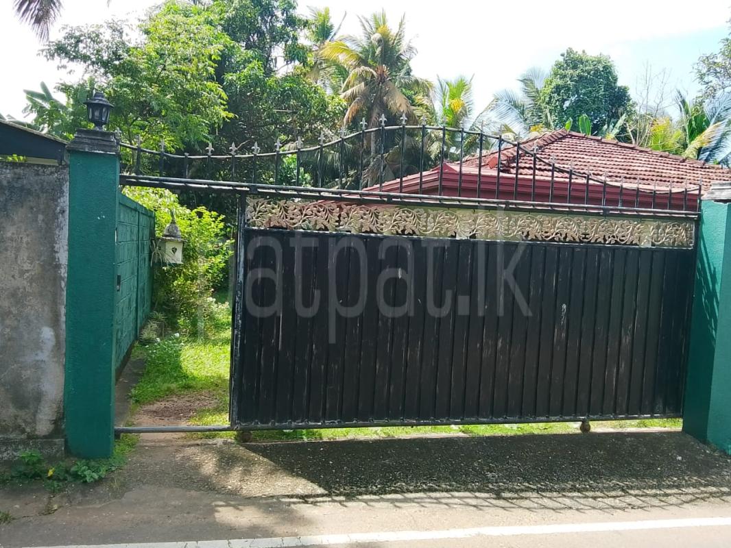 Annex for Rent in Maharagama