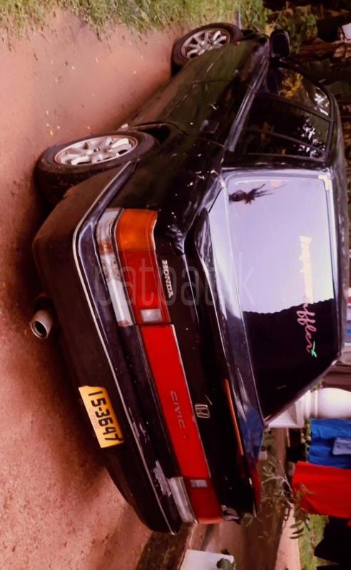 Advertisement image 4