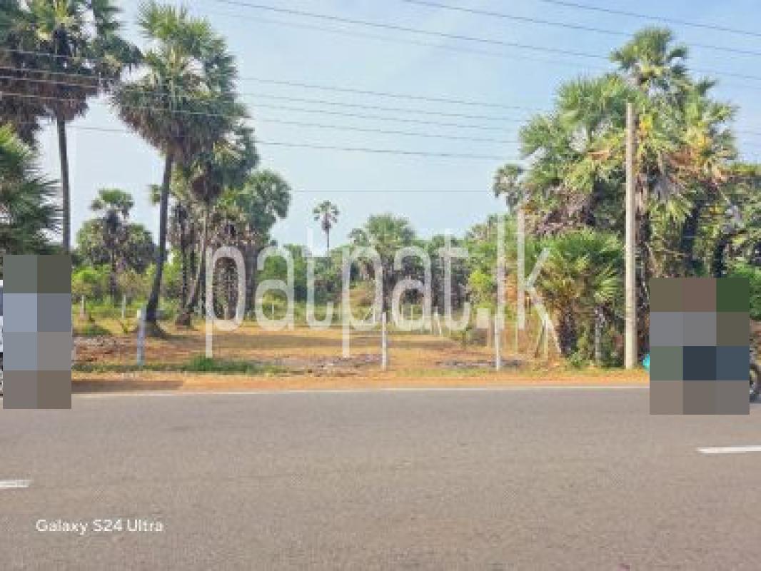 Advertisement image 1