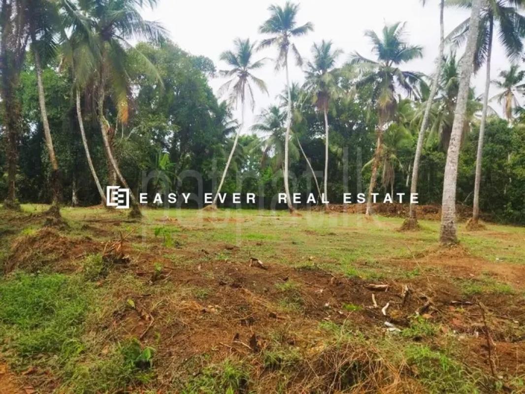 Commercial Land for Sale in Minuwangoda