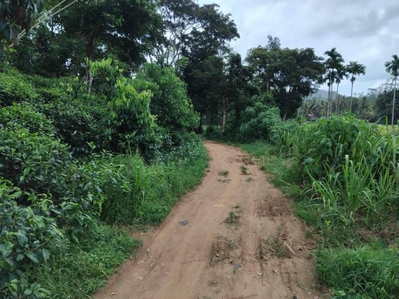 House for Sale in Galle