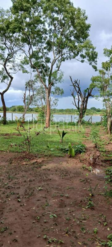 Residential Land for Sale in Sella Kataragama
