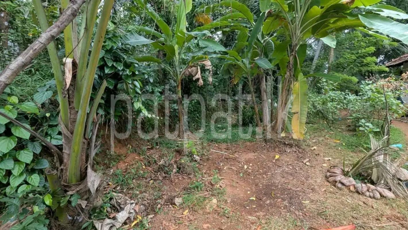 Residential Land for Sale in Hanwella