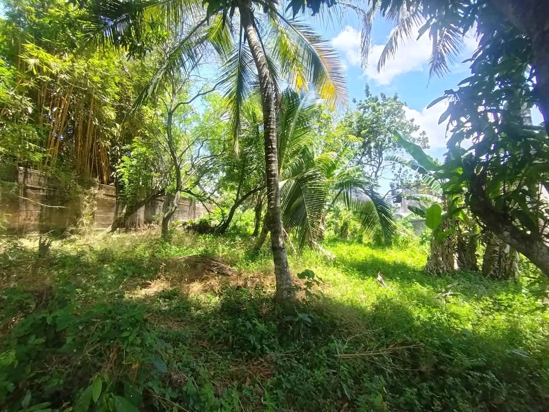 Commercial Land for Sale in Ja-Ela