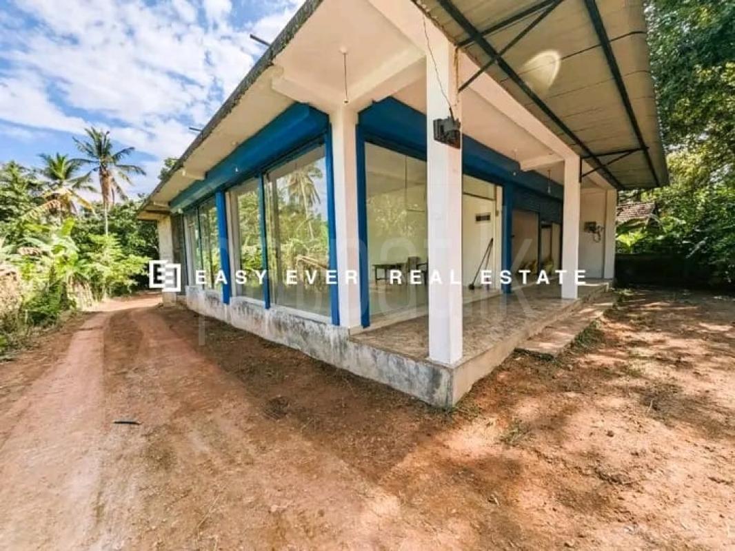 Advertisement image 6