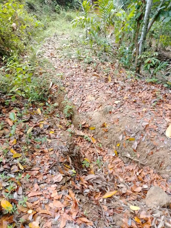 Residential Land for Sale in Hakmana ads-image-1