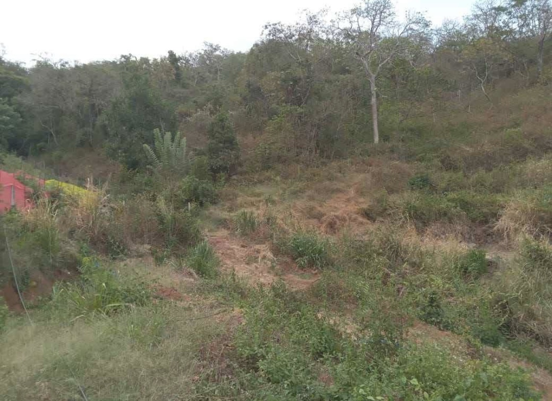 Commercial Land for Sale in Kundasale
