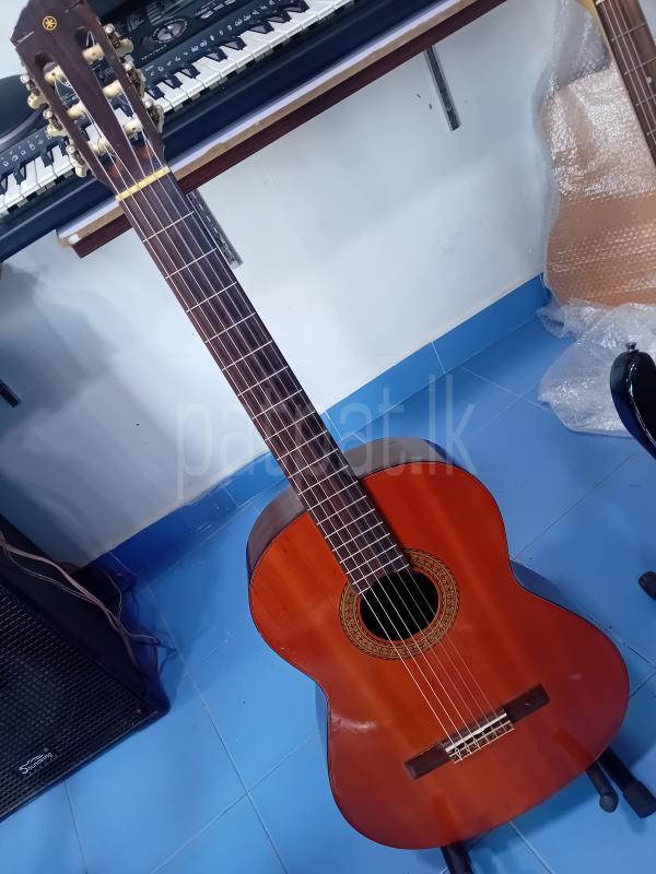 Advertisement image 2