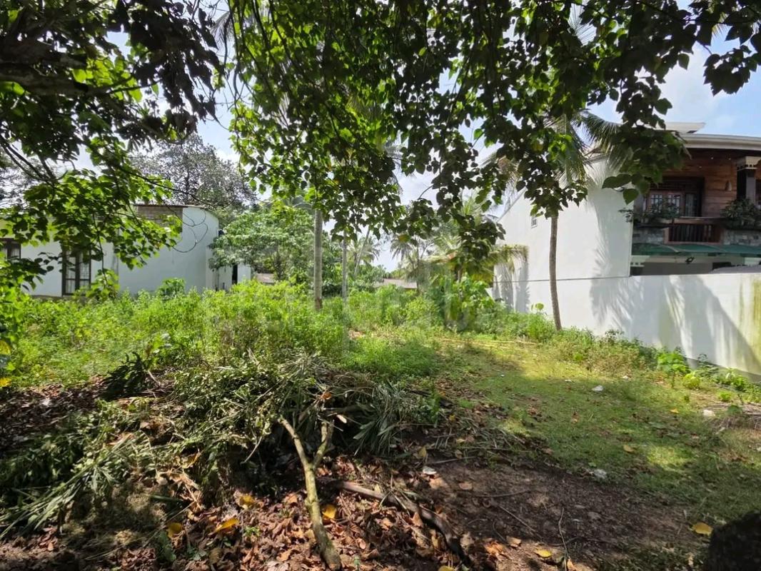 Residential Land for Sale in Ja-Ela