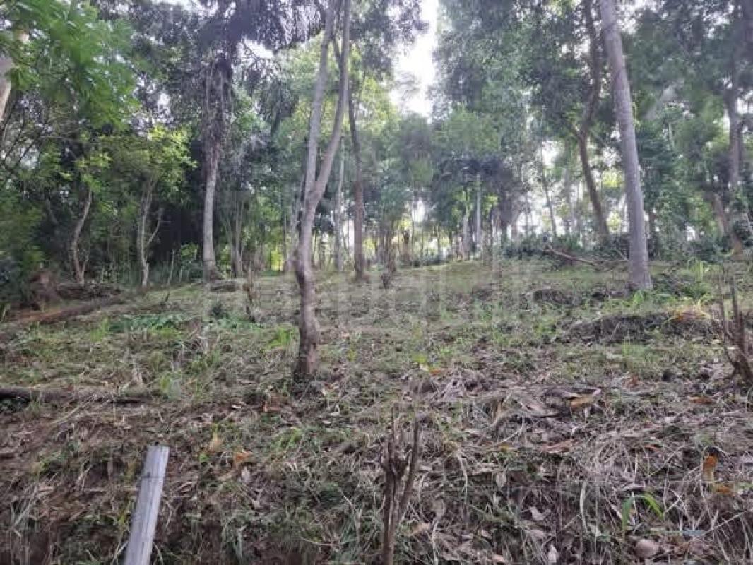 Residential Land for Sale in Ampitiya ads-image-1